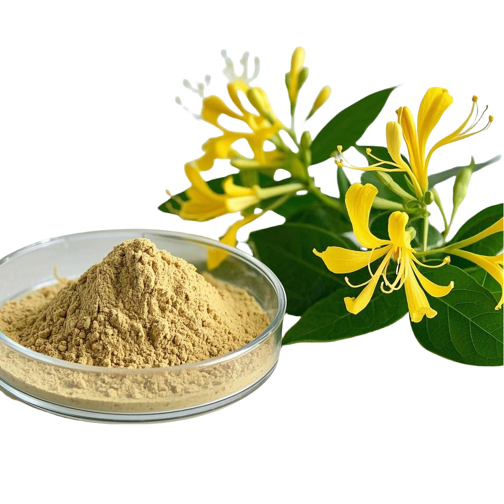 金银花纯粉